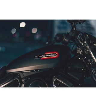 Harley-Davidson Nightster...